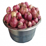 Hành tây tươi OCOP